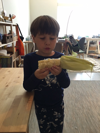 Illustration for article titled How did I not know this (about corn)?